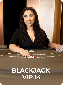 Blackjack VIP 14